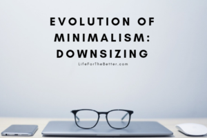 Minimalism Evolution