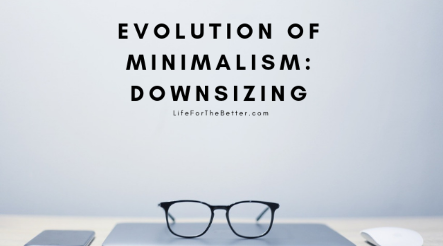 Minimalism Evolution