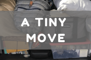 A Tiny Move