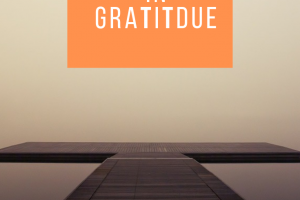 Lesson In Gratitude