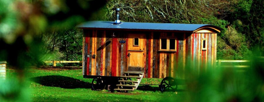 home depot tiny house